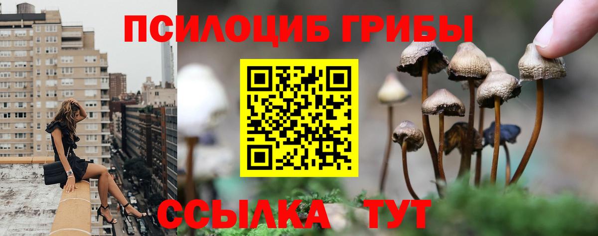 Псилоцибиновые грибы прущие грибы Джанкой